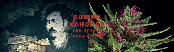 ешки Белокуриха