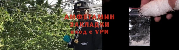 ешки Белокуриха