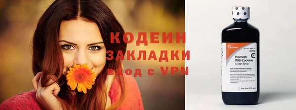ешки Белокуриха