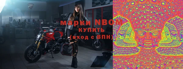 ешки Белокуриха