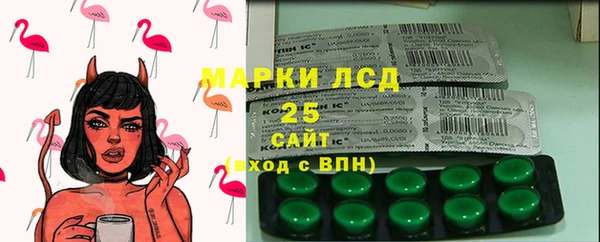 ешки Белокуриха