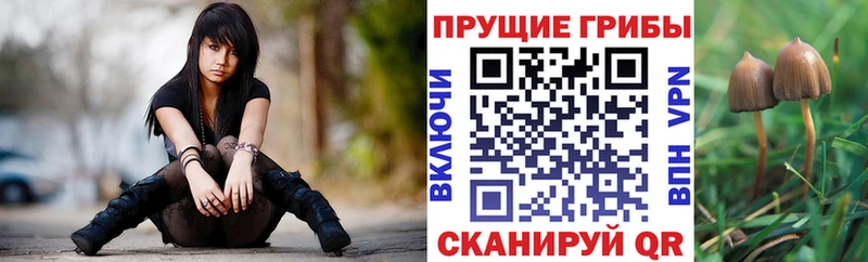 Галлюциногенные грибы GOLDEN TEACHER  купить наркотик  Полесск 